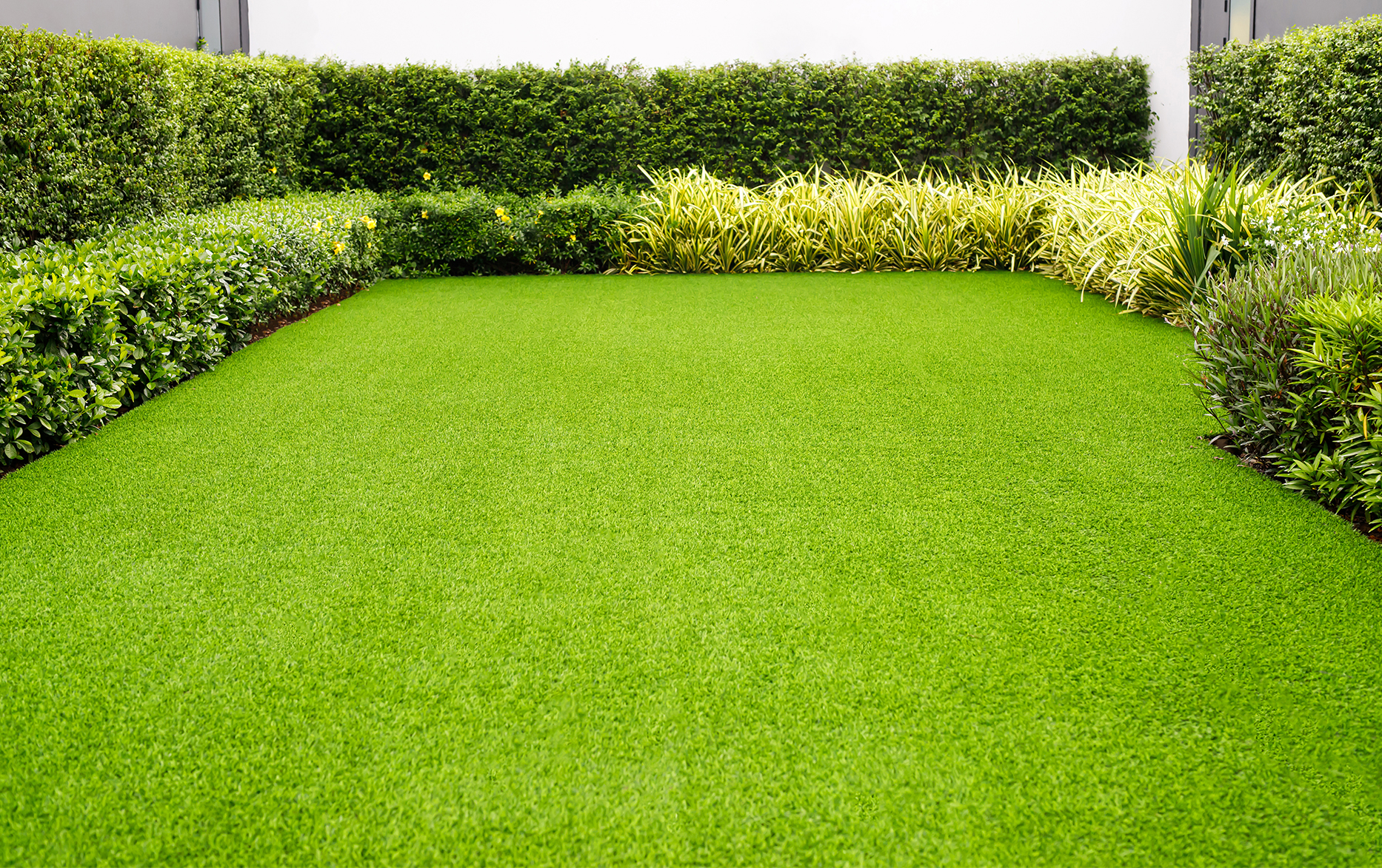 Freshly treated lawn after Champion Green lawn care service