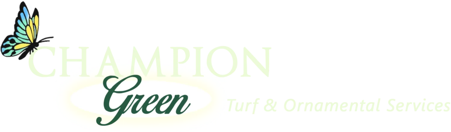 champion green logo